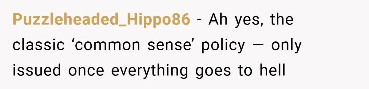 Puzzleheaded_Hippo86 − Ah yes, the classic ‘common sense’ policy — only issued once everything goes to hell