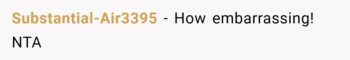 Husband Left Humiliated After Wife Starts Flashing Her New Implants at Parties Substantial-Air3395 − How embarrassing! NTA