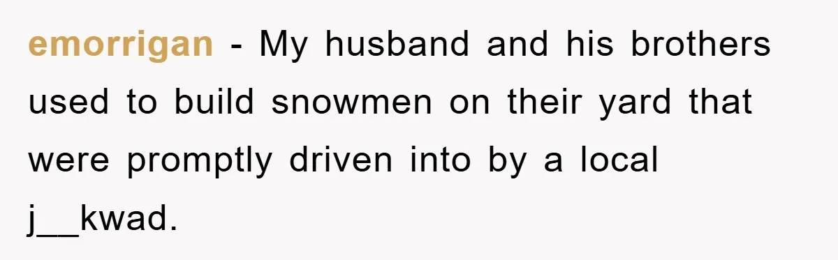 emorrigan − My husband and his brothers used to build snowmen on their yard that were promptly driven into by a local j__kwad.