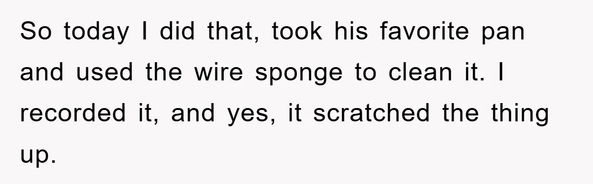 So today I did that, took his favorite pan and used the wire sponge to clean it. I recorded it, and yes, it scratched the thing up.