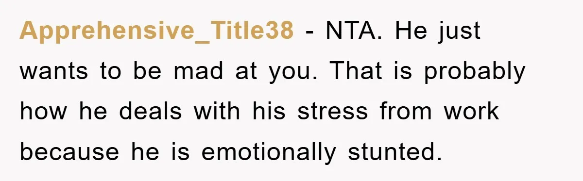 Apprehensive_Title38 − NTA. He just wants to be mad at you. That is probably how he deals with his stress from work because he is emotionally stunted.