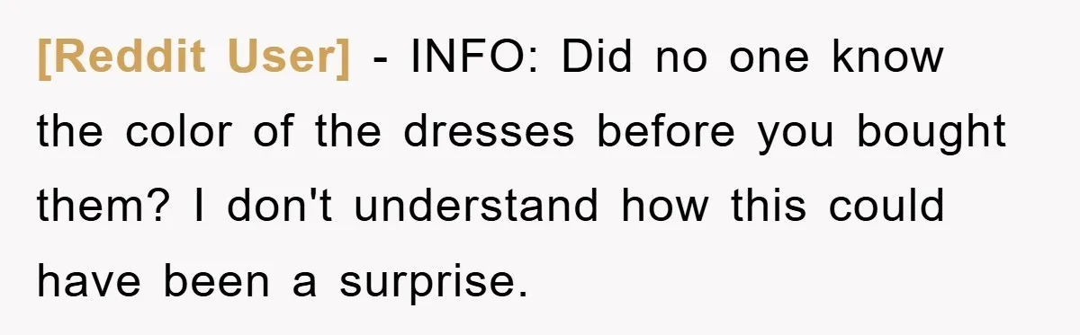 [Reddit User] − INFO: Did no one know the color of the dresses before you bought them? I don't understand how this could have been a surprise.