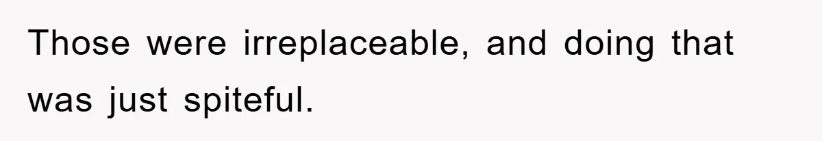 Those were irreplaceable, and doing that was just spiteful.