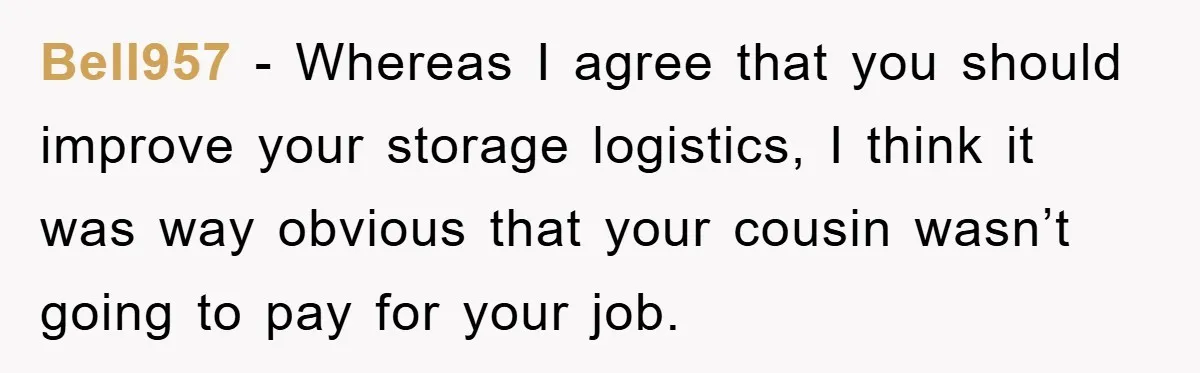 Bell957 − Whereas I agree that you should improve your storage logistics, I think it was way obvious that your cousin wasn’t going to pay for your job.