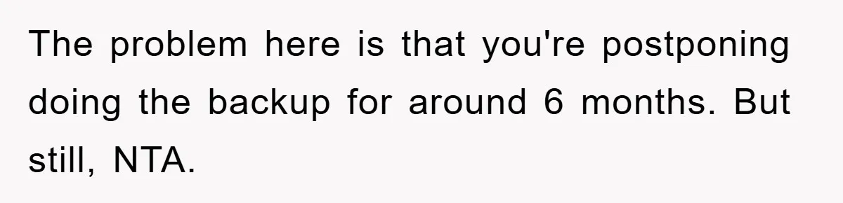 The problem here is that you're postponing doing the backup for around 6 months. But still, NTA.