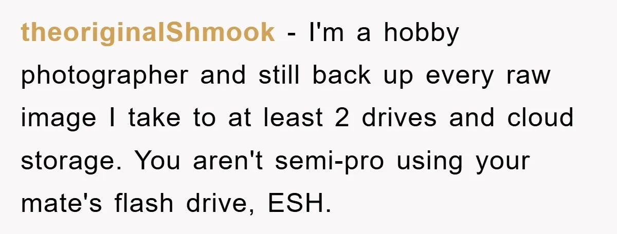 theoriginalShmook − I'm a hobby photographer and still back up every raw image I take to at least 2 drives and cloud storage. You aren't semi-pro using your mate's flash...