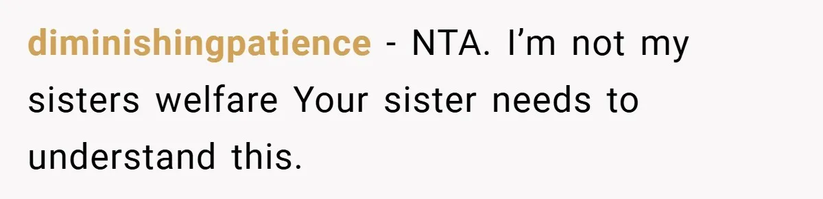 diminishingpatience − NTA. I’m not my sisters welfare Your sister needs to understand this.