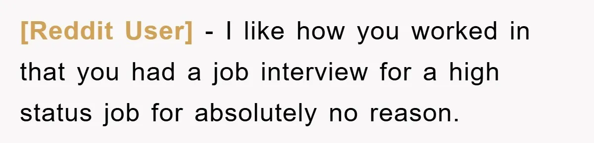 [Reddit User] − I like how you worked in that you had a job interview for a high status job for absolutely no reason.
