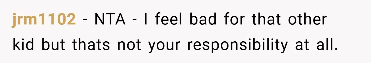 jrm1102 − NTA - I feel bad for that other kid but thats not your responsibility at all.
