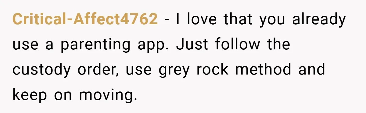 Critical-Affect4762 − I love that you already use a parenting app. Just follow the custody order, use grey rock method and keep on moving.