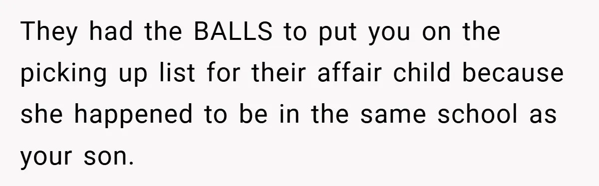 They had the BALLS to put you on the picking up list for their affair child because she happened to be in the same school as your son.