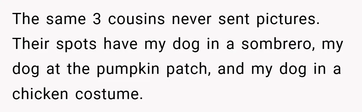 The same 3 cousins never sent pictures. Their spots have my dog in a sombrero, my dog at the pumpkin patch, and my dog in a chicken costume.