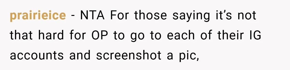 prairieice − NTA For those saying it’s not that hard for OP to go to each of their IG accounts and screenshot a pic,