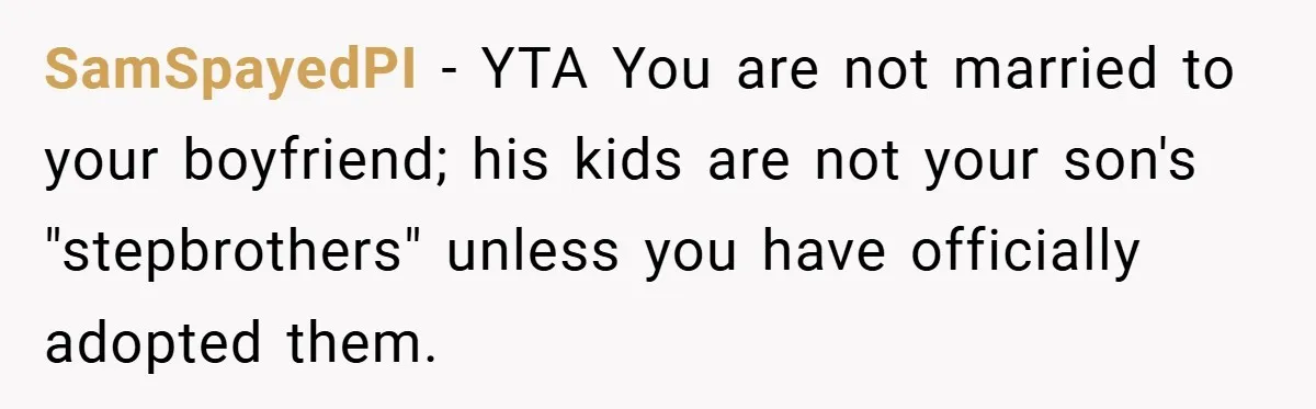 Teen Babysits His Mom’s Boyfriend’s Kids, Then Gets Punished For Asking To Be Paid SamSpayedPI − YTA You are not married to your boyfriend; his kids are not your son's "stepbrothers" unless you have officially adopted them.