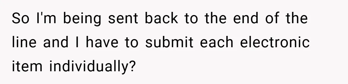 So I'm being sent back to the end of the line and I have to submit each electronic item individually?