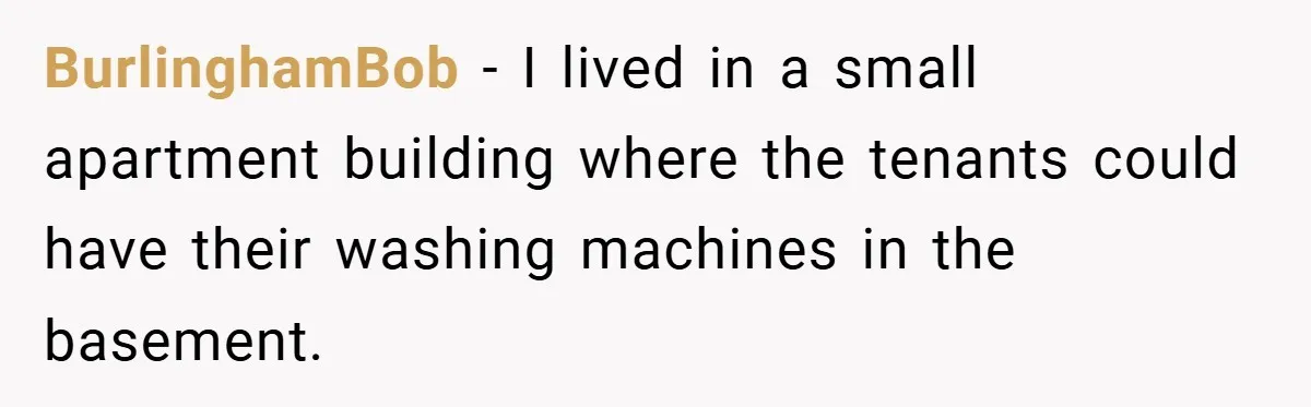 BurlinghamBob − I lived in a small apartment building where the tenants could have their washing machines in the basement.