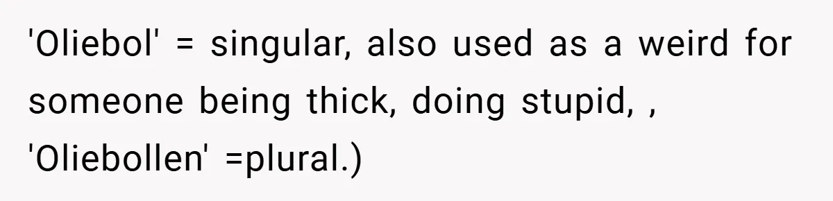 'Oliebol' = singular, also used as a weird for someone being thick, doing stupid, , 'Oliebollen' =plural.)