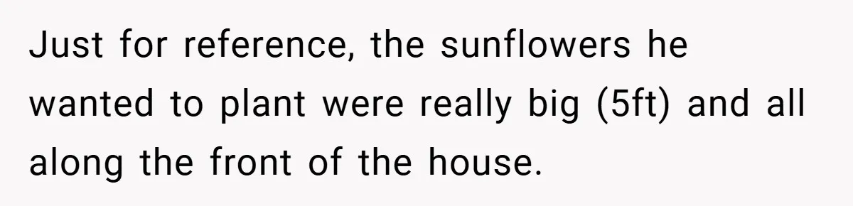 Man Told He Can’t Grow Sunflowers, Finds A Legal Loophole That Makes The HOA Surrender Just for reference, the sunflowers he wanted to plant were really big (5ft) and all along the front of the house.