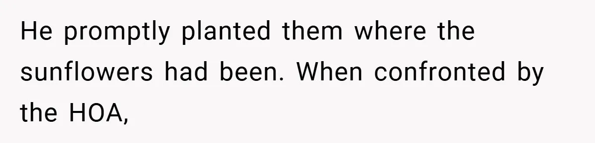 Man Told He Can’t Grow Sunflowers, Finds A Legal Loophole That Makes The HOA Surrender He promptly planted them where the sunflowers had been. When confronted by the HOA,