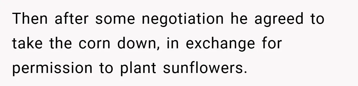 Man Told He Can’t Grow Sunflowers, Finds A Legal Loophole That Makes The HOA Surrender Then after some negotiation he agreed to take the corn down, in exchange for permission to plant sunflowers.