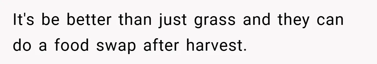 Man Told He Can’t Grow Sunflowers, Finds A Legal Loophole That Makes The HOA Surrender It's be better than just grass and they can do a food swap after harvest.