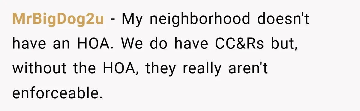 Man Told He Can’t Grow Sunflowers, Finds A Legal Loophole That Makes The HOA Surrender MrBigDog2u − My neighborhood doesn't have an HOA. We do have CC&Rs but, without the HOA, they really aren't enforceable.