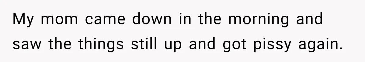 My mom came down in the morning and saw the things still up and got pissy again.