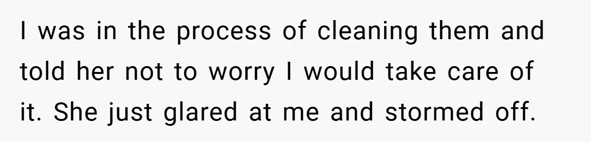 I was in the process of cleaning them and told her not to worry I would take care of it. She just glared at me and stormed off.