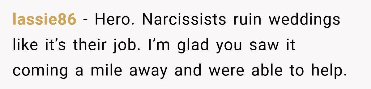 lassie86 − Hero. Narcissists ruin weddings like it’s their job. I’m glad you saw it coming a mile away and were able to help.