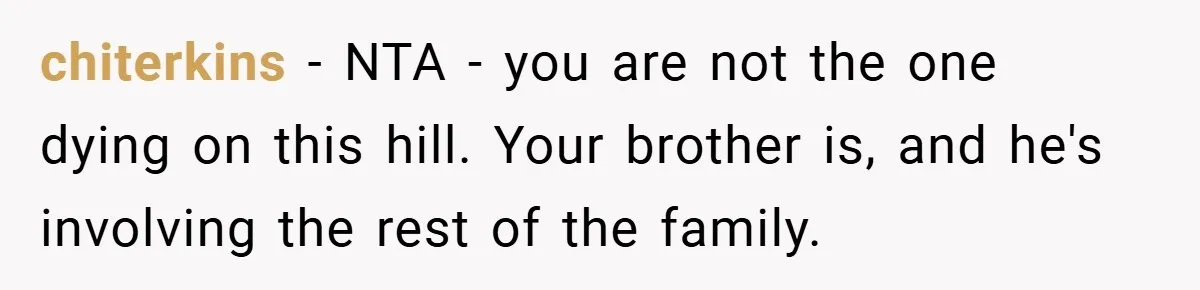 chiterkins − NTA - you are not the one dying on this hill. Your brother is, and he's involving the rest of the family.