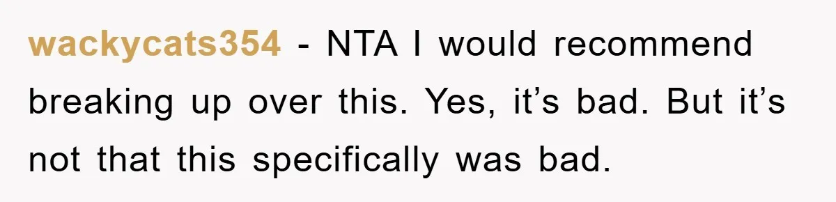 wackycats354 − NTA I would recommend breaking up over this. Yes, it’s bad. But it’s not that this specifically was bad.