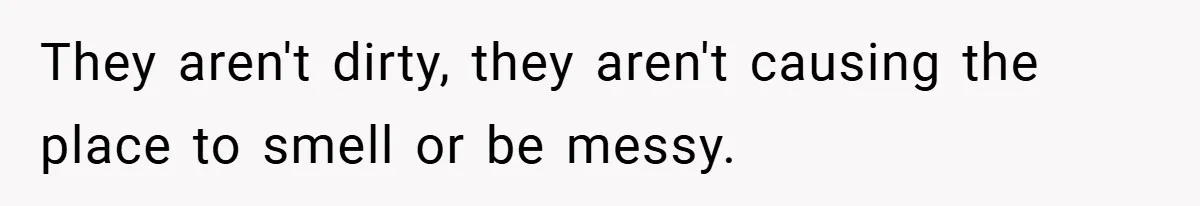 They aren't dirty, they aren't causing the place to smell or be messy.