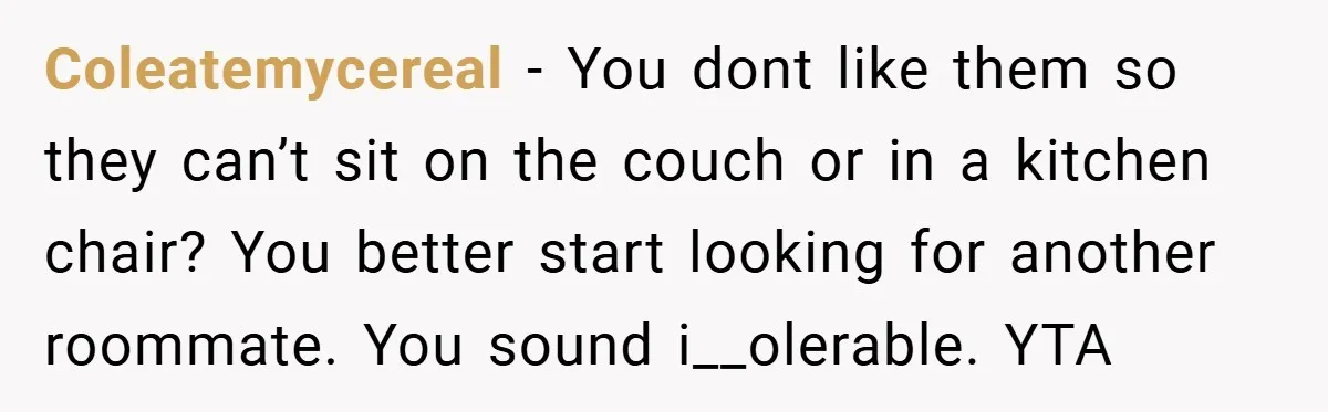 Coleatemycereal − You dont like them so they can’t sit on the couch or in a kitchen chair? You better start looking for another roommate. You sound i__olerable. YTA