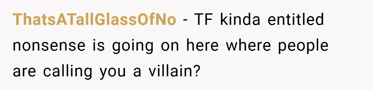 ThatsATallGlassOfNo − TF kinda entitled nonsense is going on here where people are calling you a villain?