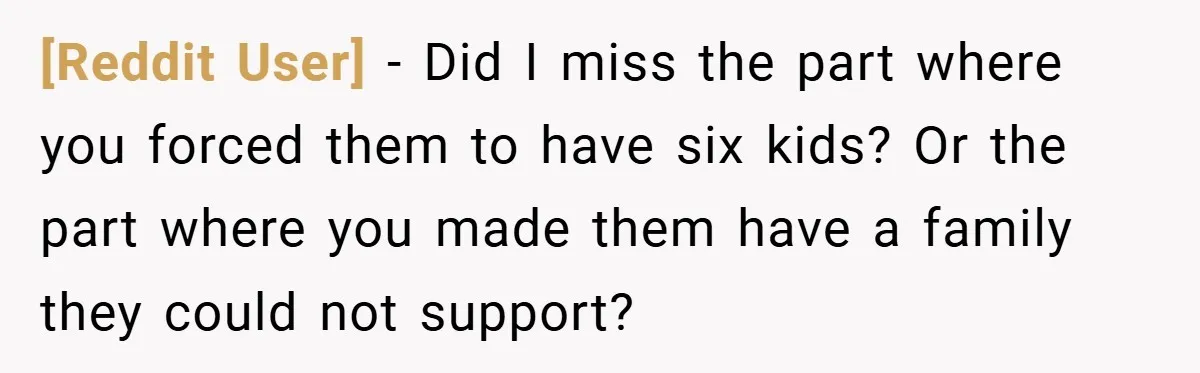 [Reddit User] − Did I miss the part where you forced them to have six kids? Or the part where you made them have a family they could not support?