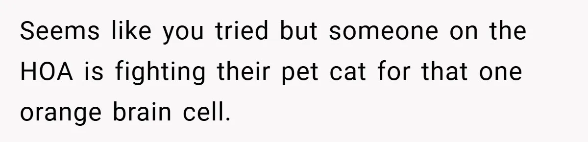 Seems like you tried but someone on the HOA is fighting their pet cat for that one orange brain cell.