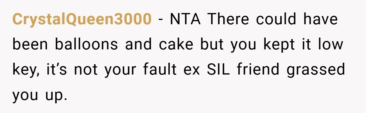 CrystalQueen3000 − NTA There could have been balloons and cake but you kept it low key, it’s not your fault ex SIL friend grassed you up.