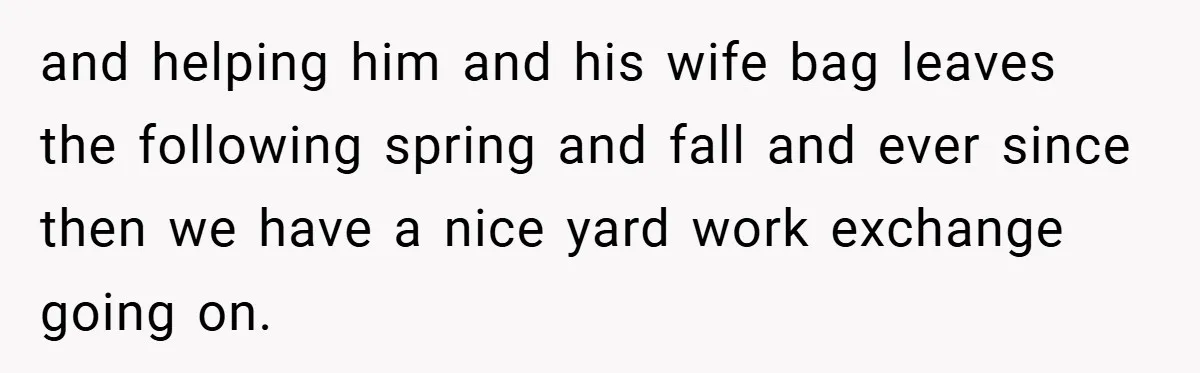 and helping him and his wife bag leaves the following spring and fall and ever since then we have a nice yard work exchange going on.