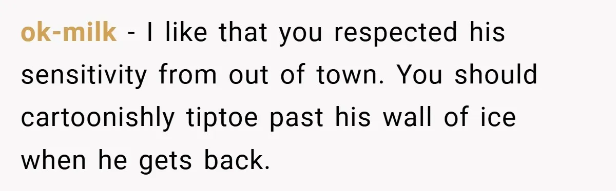 ok-milk − I like that you respected his sensitivity from out of town. You should cartoonishly tiptoe past his wall of ice when he gets back.