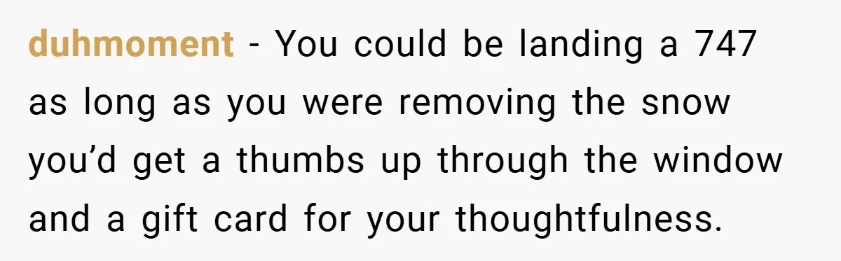 duhmoment − You could be landing a 747 as long as you were removing the snow you’d get a thumbs up through the window and a gift card for your...