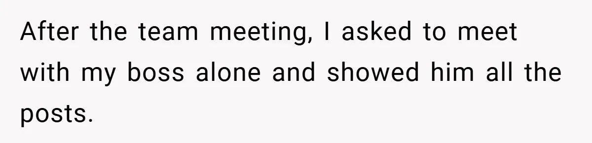 After the team meeting, I asked to meet with my boss alone and showed him all the posts.