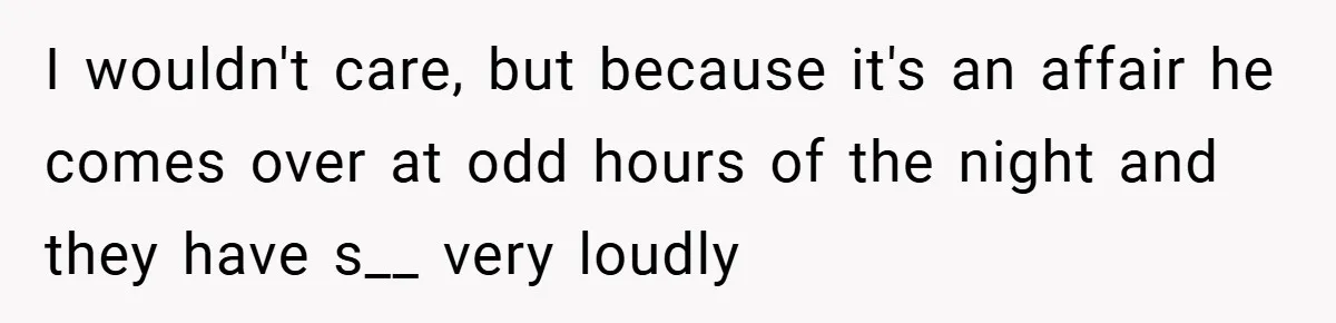 I wouldn't care, but because it's an affair he comes over at odd hours of the night and they have s__ very loudly