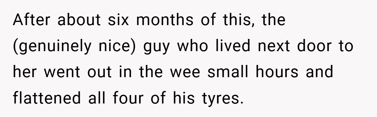 After about six months of this, the (genuinely nice) guy who lived next door to her went out in the wee small hours and flattened all four of his tyres.