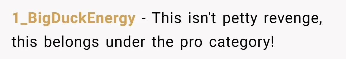 1_BigDuckEnergy − This isn't petty revenge, this belongs under the pro category!