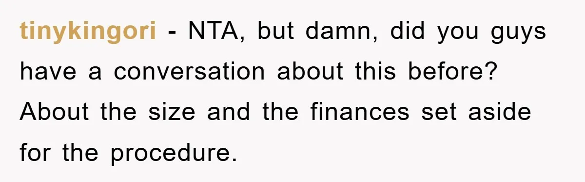 tinykingori − NTA, but damn, did you guys have a conversation about this before? About the size and the finances set aside for the procedure.
