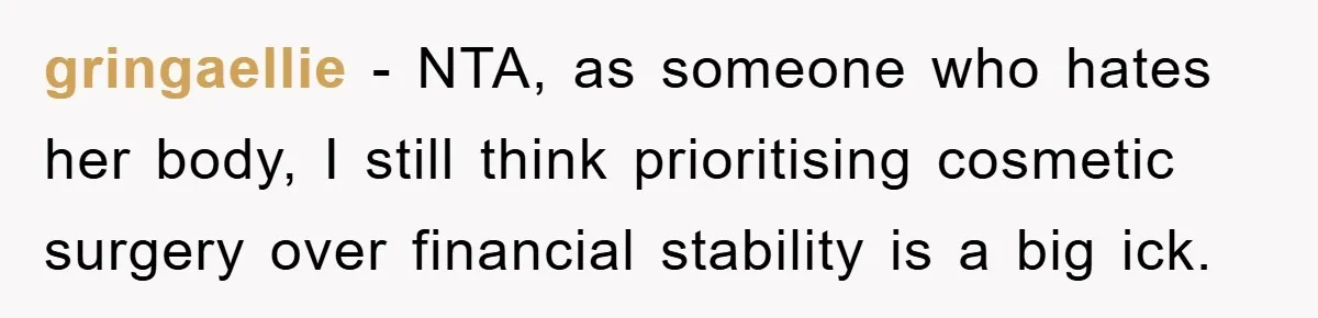 gringaellie − NTA, as someone who hates her body, I still think prioritising cosmetic surgery over financial stability is a big ick.
