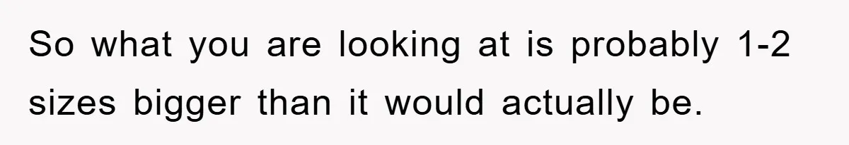 So what you are looking at is probably 1-2 sizes bigger than it would actually be.