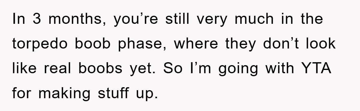 In 3 months, you’re still very much in the torpedo boob phase, where they don’t look like real boobs yet. So I’m going with YTA for making stuff up.