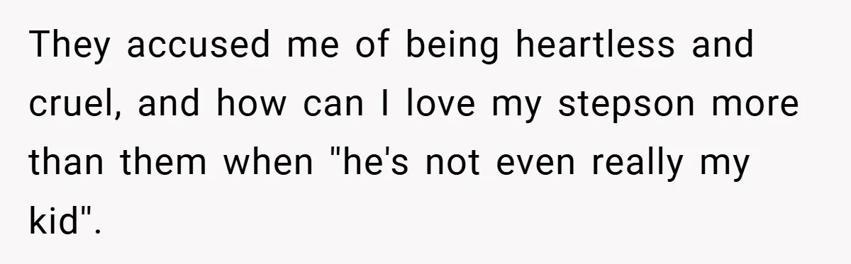 They accused me of being heartless and cruel, and how can I love my stepson more than them when ''he's not even really my kid''.