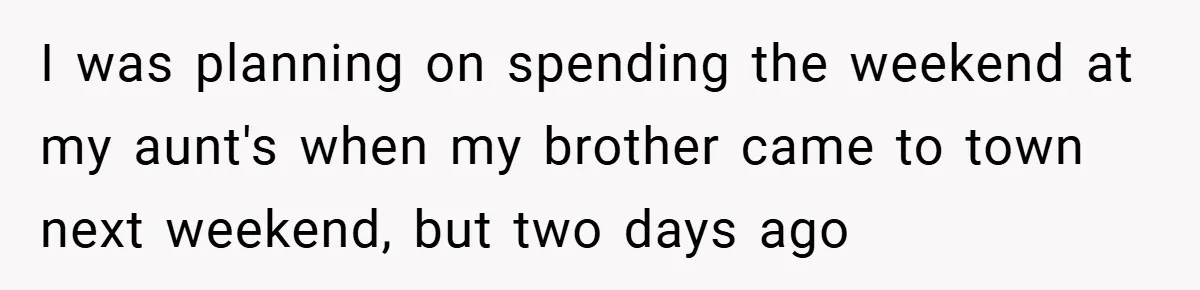I was planning on spending the weekend at my aunt's when my brother came to town next weekend, but two days ago